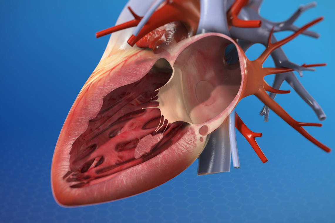بیماری دریچه قلب چیست