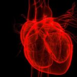 نارسایی قلبی چگونه به وجود می آید؟