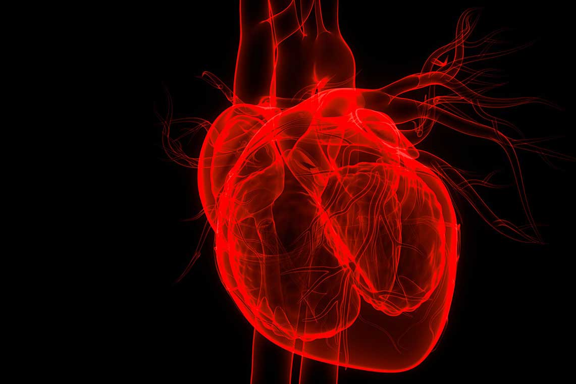 نارسایی قلبی چگونه به وجود می آید؟