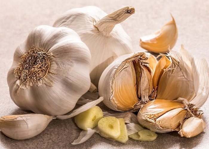 خواص سیر برای روده