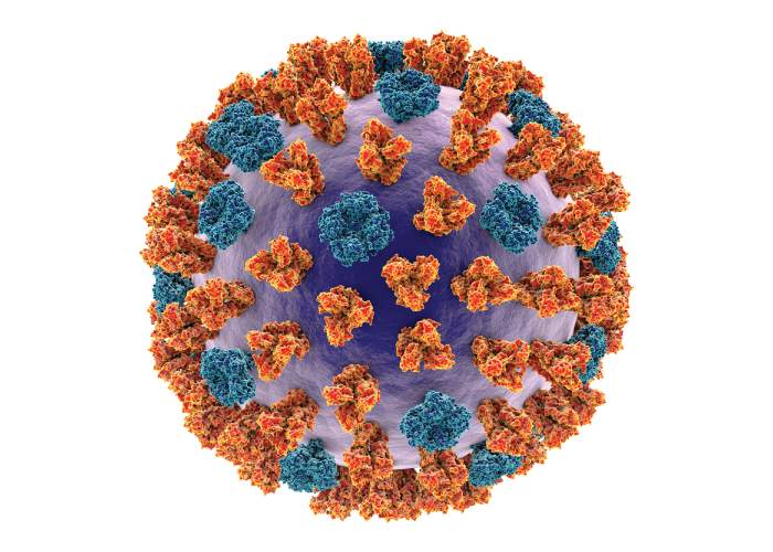 ویروس آنفولانزا