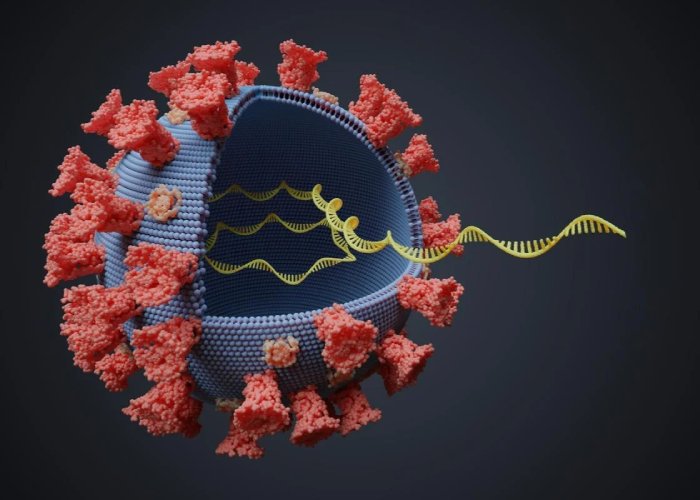 ویروس RNA