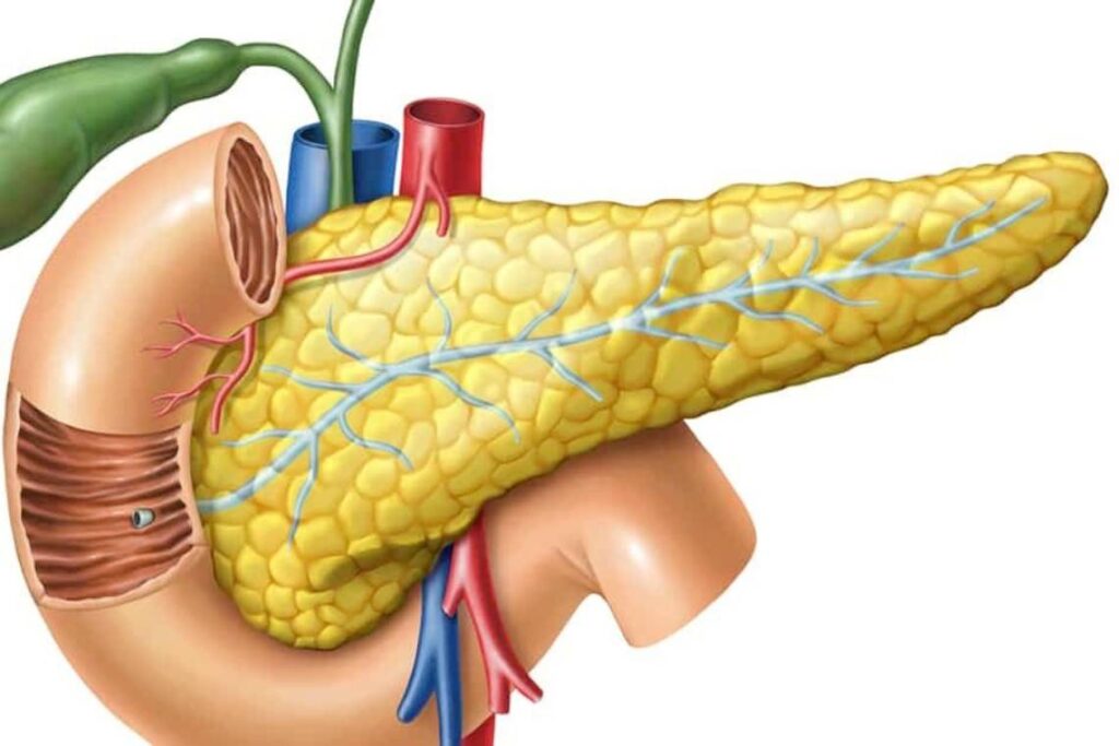 پانکراتیت چیست