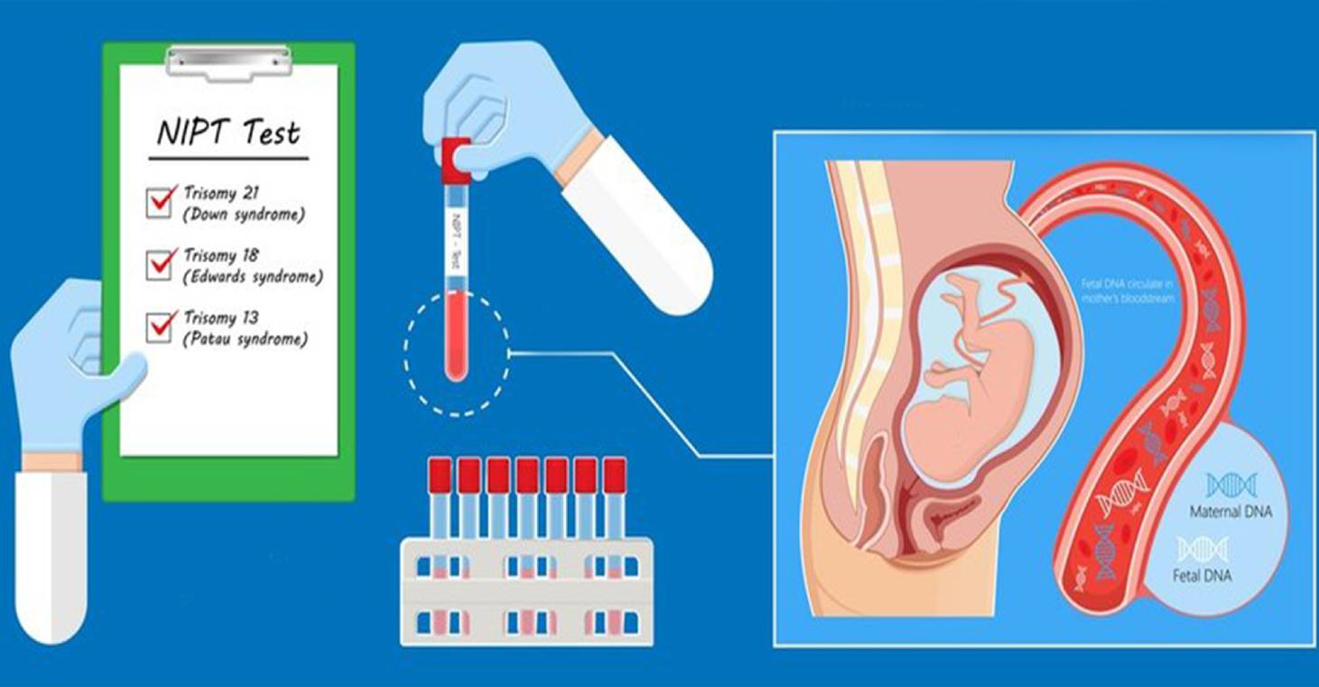 اهمیت آزمایش های ژنتیک در بارداری