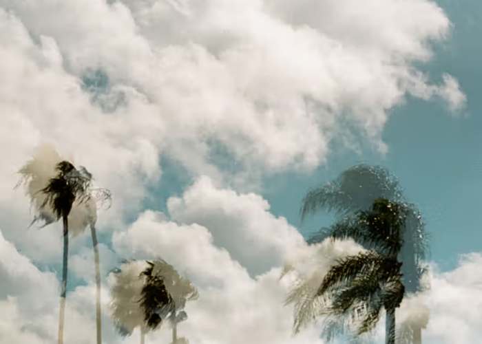 دوبینی در یک چشم